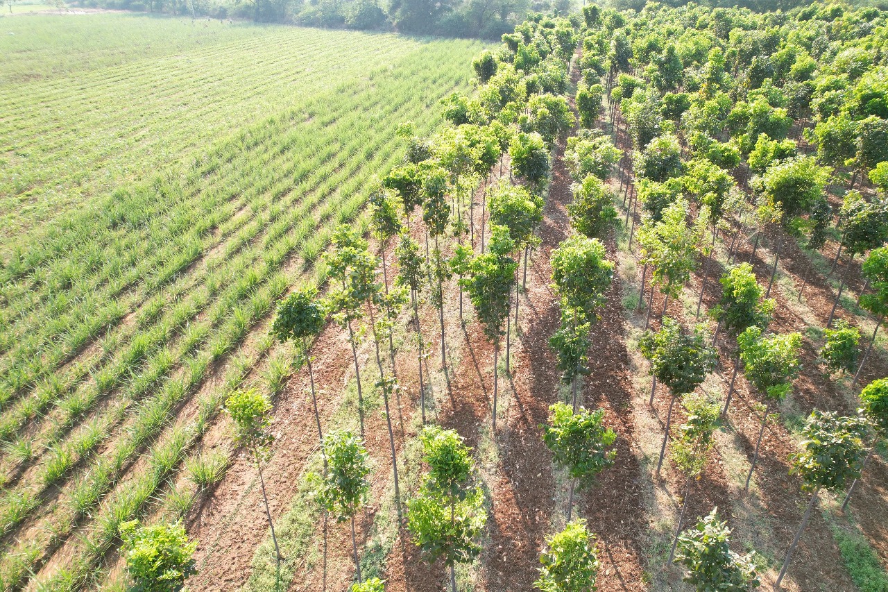 WhatsApp Image 2025-12-05 at 11.25.16 AM